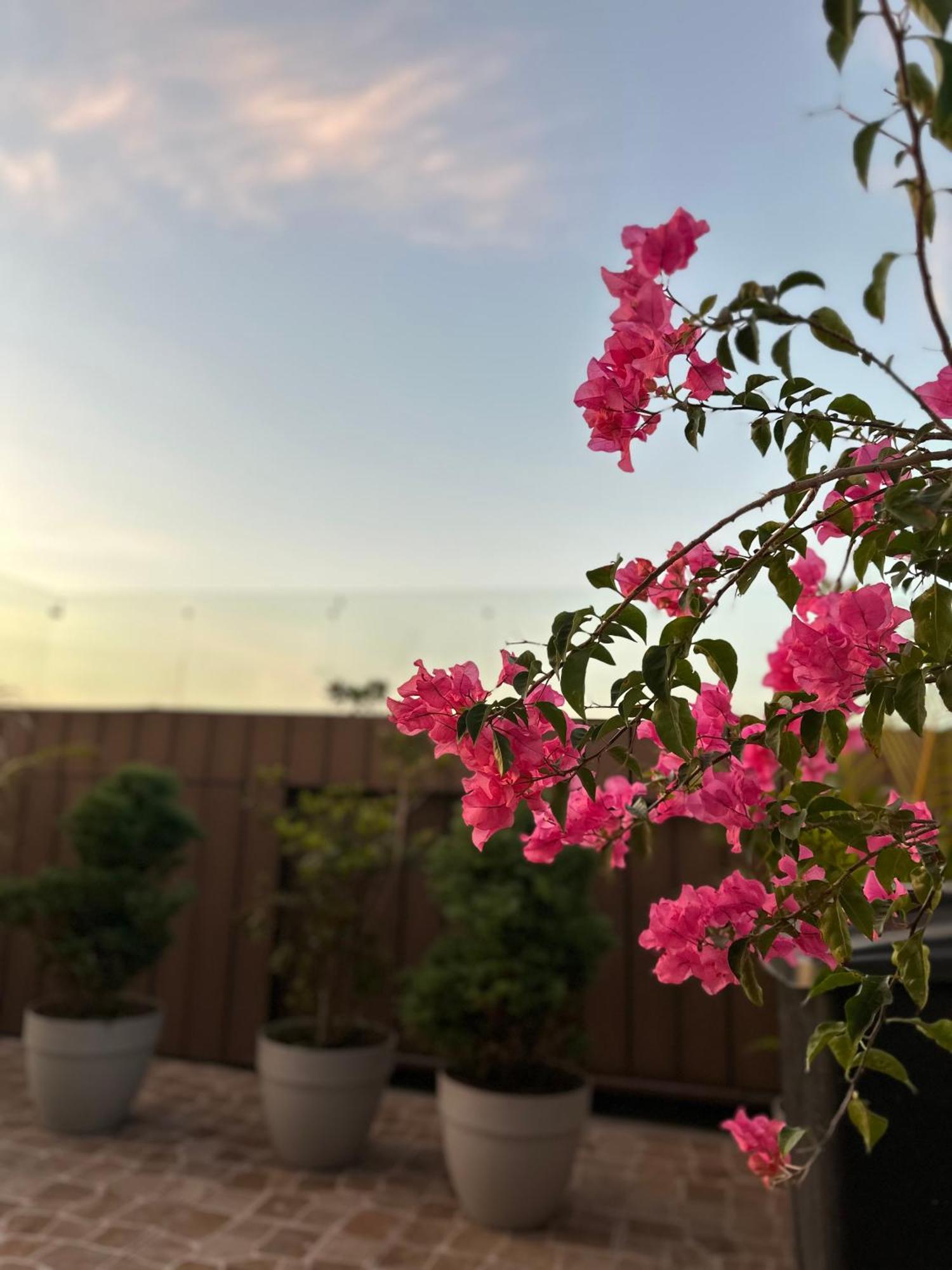 ホテル Sky Garden グアテマラシティ エクステリア 写真